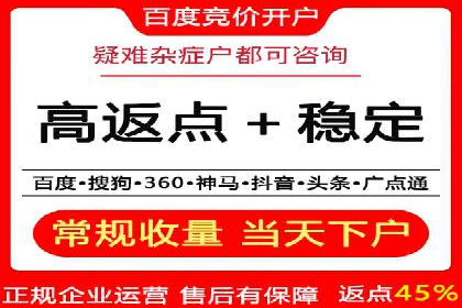 百度SEO推广策略案例：一家公司的成功转型之路